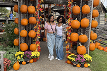 Two students surrounded by pumpkins